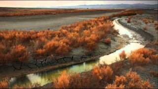 LORNE GREENE - Stuck in the chimney