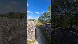 Exploring Altun Ha Mayan Ruins! #Belize #mayanruins #jadehead #historicsite  #shorts