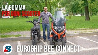 Eurogrip Bee Connect: le abbiamo provate sul Piaggio MP3 HPE 400 e sull’Askoll XKP 80!