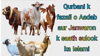 Qurbani k fazail o Aadab aur Janwaron k saath sulook ka Islami nazariya..BY HAFIZ MOHAMMED ARIFUDDIN