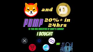 Have Shiba Inu and Doge showed us what's coming? Chz, Enj, Ada, Matic & Xrp charts looked to good!!!