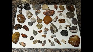 Shiny Rocks 1/19/22