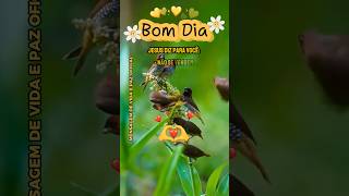 Mensagem de Bom Dia Com Canto de Pássaros Voz e Legenda #mensagem de bom-dia #statusvideo