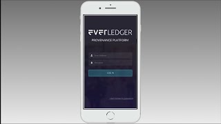 Everledger Diamond Provenance Platform