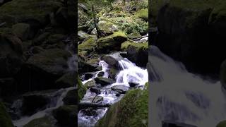 Akaboshi mountain, Shikoku’s little Yakushima. #hikinginjapan #waterfall