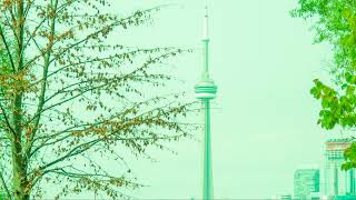 Spadina-Fort York Greens Live Stream