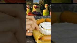 ESSES PINGUINS VICIAM TANTO QUANTO O VÍDEO DA PARTE DE BAIXO!!😂😂