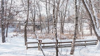 Lebanon Hills: Jensen Lake