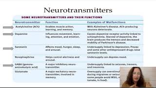 On Level Intro Psych Mod 5.3 Neurotransmitters