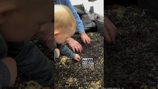 “Grandpa, can I see the worms?” #worms #wormfarm #wormcomposttea #wormcomposter #wormcastings