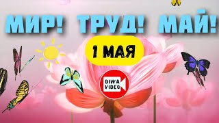 Лучшее поздравление с 1 МАЯ 🌷 С праздником, товарищи ⭐ ДЕНЬ СОЛИДАРНОСТИ ТРУДЯЩИХСЯ