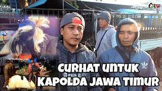 Harga kambing dan curhat pedagang kambing ijen