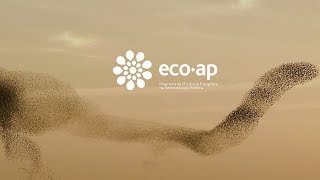 Eco.AP - A Energia tem Eco no Futuro