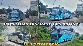 PAMIJAHAN DISERANG BUS ARTIS DENGAN NADA VIRAL NYA BIKIN SEMUA ORANG BAHAGIA