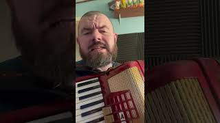 Living NEXT Dior to Alice #accordion #duet #akordeon #music #musictheory #granie #cover #biesiada