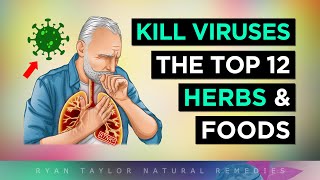 12 Herbs & Foods That KILL Viruses Naturally!