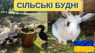 СІЛЬСЬКІ БУДНІ: ПРИБРАВ 3 ПІВНІ І КУРКУ. ГОДУЮ, ПАСУ@kyruvgaragi