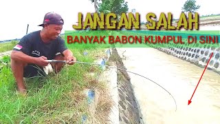 awalnya ragu pakai UMPAN mancing di SPOT seperti ini,,,GA NYANGKA sambarannya bikin joran melengkung