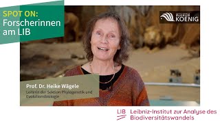 Spot on: Prof. Dr. Heike Waegele