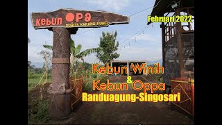 Kebun Winih dan Kebun Oppa Randuagung Singosari #viral #randuagung #singosarimalang