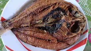 Buhay Probinsya | Daing na bangus #outdoorcooking