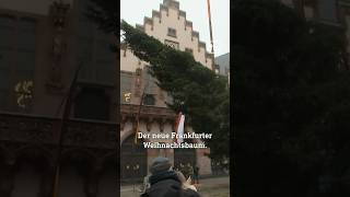 Das ist der Frankfurter Weihnachtsbaum: 26 Meter hoch und er heißt … #frankfurt #frankfurtgermany