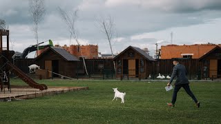 Ведущий на свадьбу в Москве Безлюдный Евгений