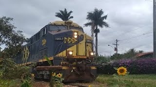 trem da mrs vazio .3 ac44i sentido Pradópolis usina são Martinho.