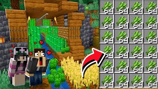 A FARM DE CANA INFINITA e AUTOMÁTICA! - CASAL MINECRAFT SURVIVAL #16