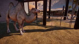 Planet Zoo - Oasis Springs Zoo Bactrian Camel Habitat