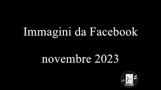 IMMAGINI di CANI da SOCIAL - Sei zampe - novembre 2023