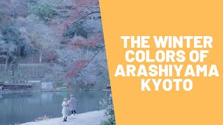 Cycling in Japan: The winter colours of Arashiyama, Kyoto