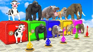 Cow Elephant Tiger Gorilla Hippo Guess The Right Key ESCAPE ROOM CHALLENGE Animals Cage Game