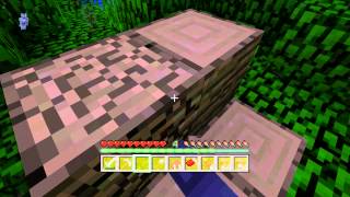 Claws Plays Minecraft Episode2