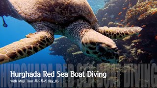 [4K] Egypt Hurghada Red Sea Boat Diving (with Muji Tour) 이집트 후루가다(홍해) 보트 펀 다이빙 with 무지투어 day_06