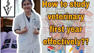 How to study veterinary first year🩺📚//Vet Treasure// #vet #new #veterinary #video #study #tips #vdo