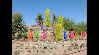 Desert Botanical Garden 10-8-2019