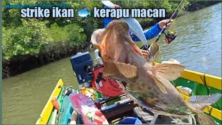 STRIKE IKAN 🐟 KERAPU MACAN  REKOR sendiri.