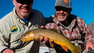 Fly Fishing in Jackson Hole - Fish the Fly