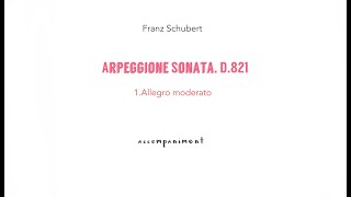 Fr.Schubert  ARPEGGIONE Sonata,D.821 /accompaniment 1.Allegro Moderato