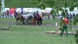 Ben Hur Show an den Glarner Zugpferdetagen in Haslen Schweiz, 2012