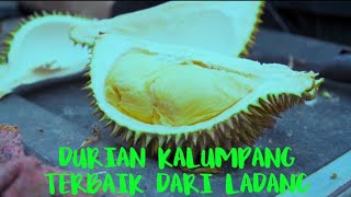 RIDE EAT DURIAN D24 KALUMPANG,SELANGOR