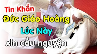 🔴Xin cầu nguyện cho Đức Giáo Hoàng Phanxico lúc này