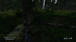 DayZ PVP South of Nadbor in the forest.