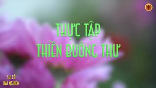 Thực Tập Thiền Buông Thư - Sư cô Đài Nghiêm Hướng Dẫn - Làng Mai - Chuyển hóa và trị liệu