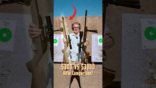 $300 VS $3000 Rifle (Does It ACTUALLY Shoot Better?)