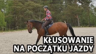 Jak kłusować na początku jazdy? Pierwszy kłus konia.