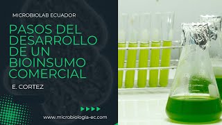 PASOS PARA EL DESARROLLO DE UN BIOINSUMO