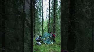 Camping in the Woods | Nature Enthusiast | #shorts #asmr #oddlysatisfying