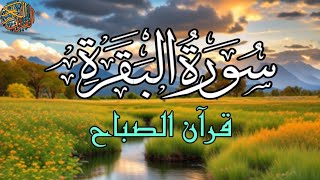 سورة البقرة 💚تلاوة قرآنية هادئة لحفظ وتحصين البيت والأهل والأولاد من العين والحسد والسحر ‼️